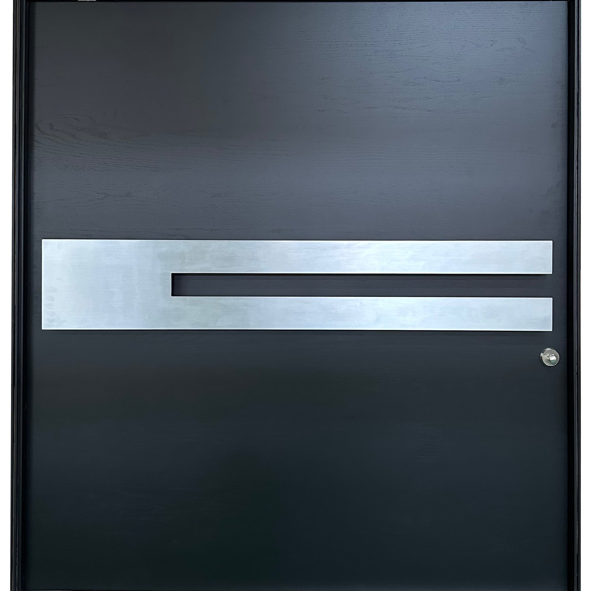 Waydoor Contemporary Large Front Pivot Door