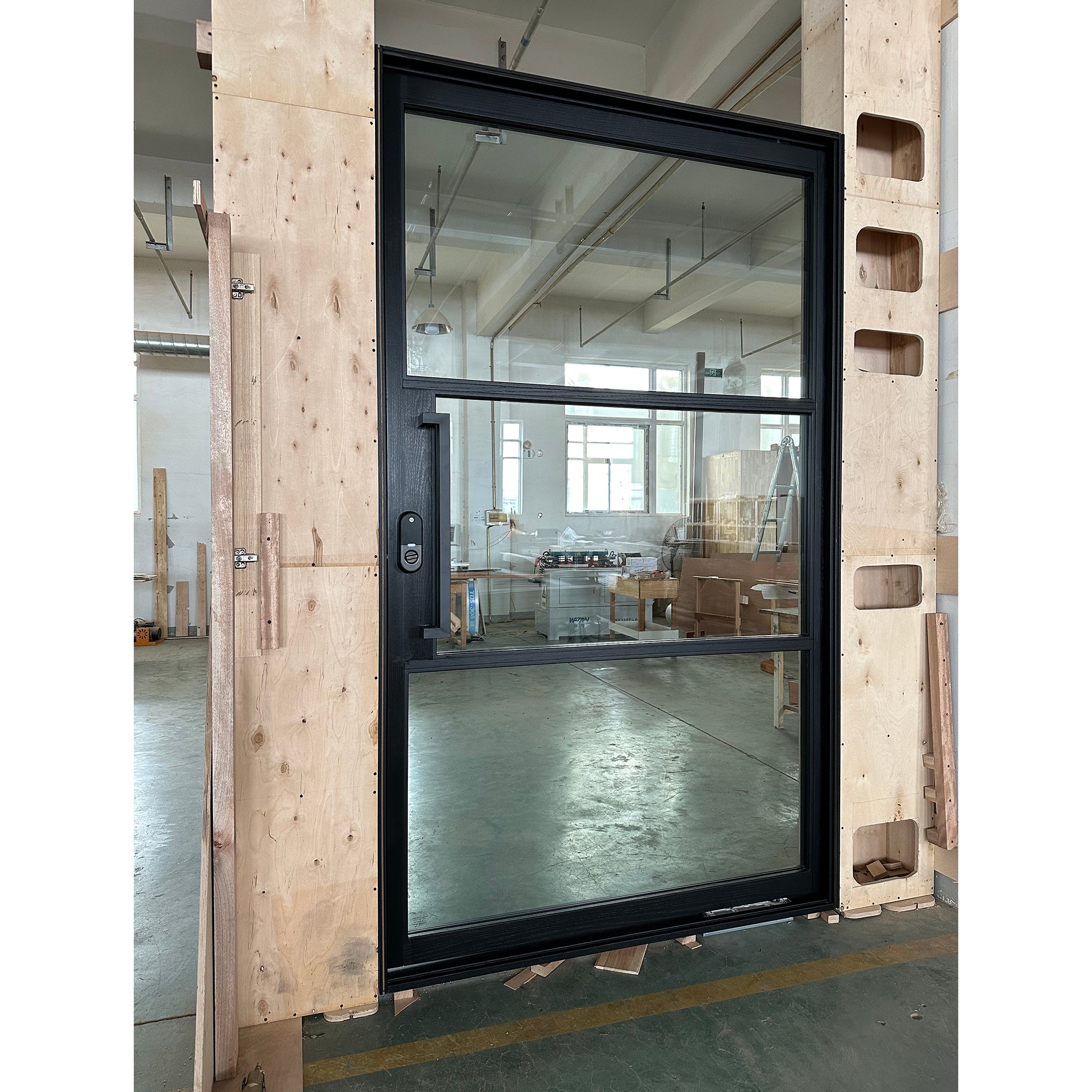 Contemporary Glass Entry Pivot Door