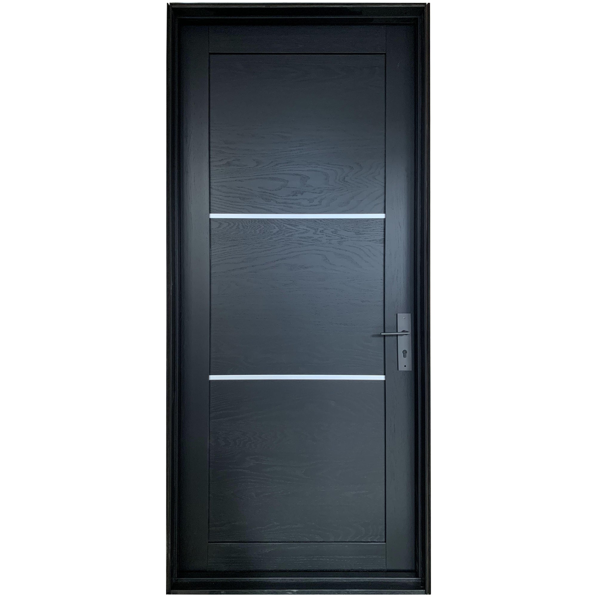 Contemporary Wood Door Back Door